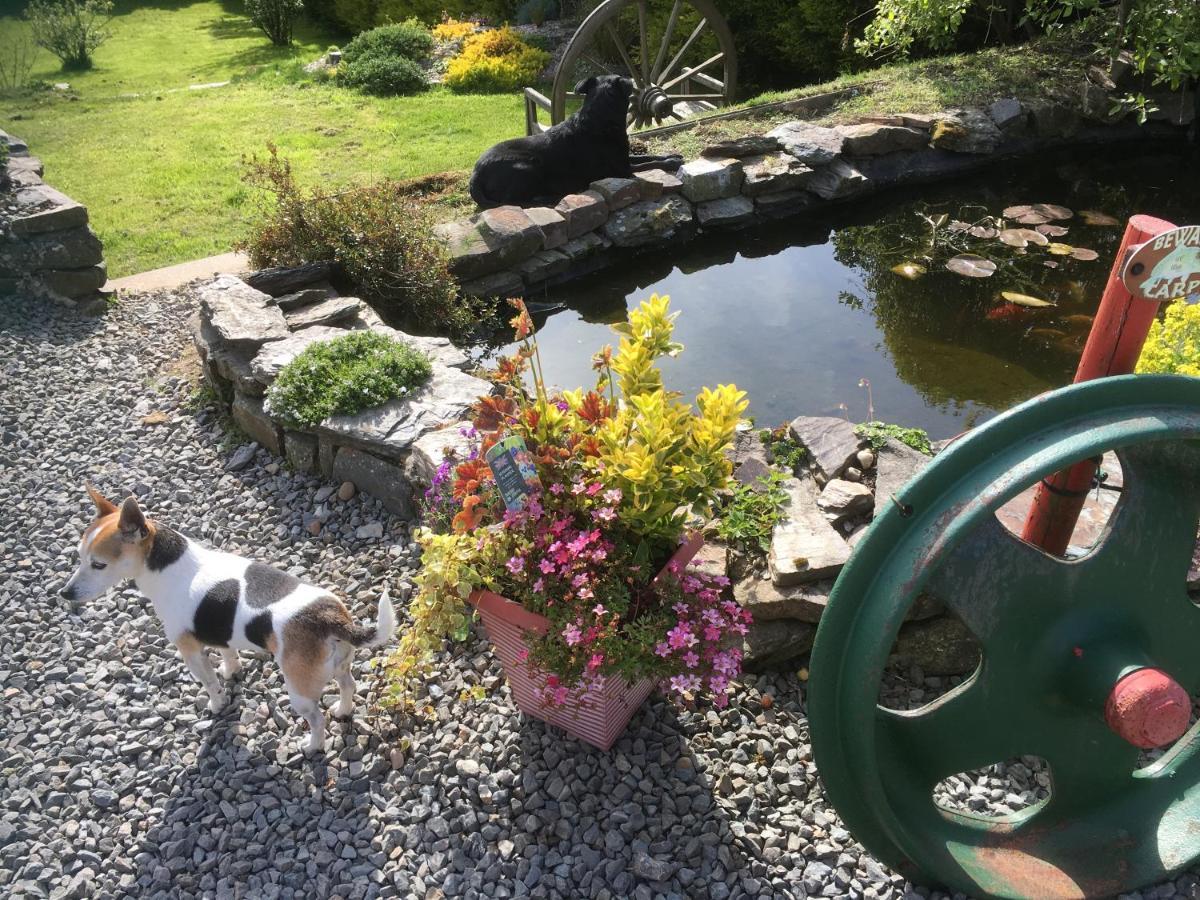 Stoke Rivers Stoke House Bed And Breakfast المظهر الخارجي الصورة
