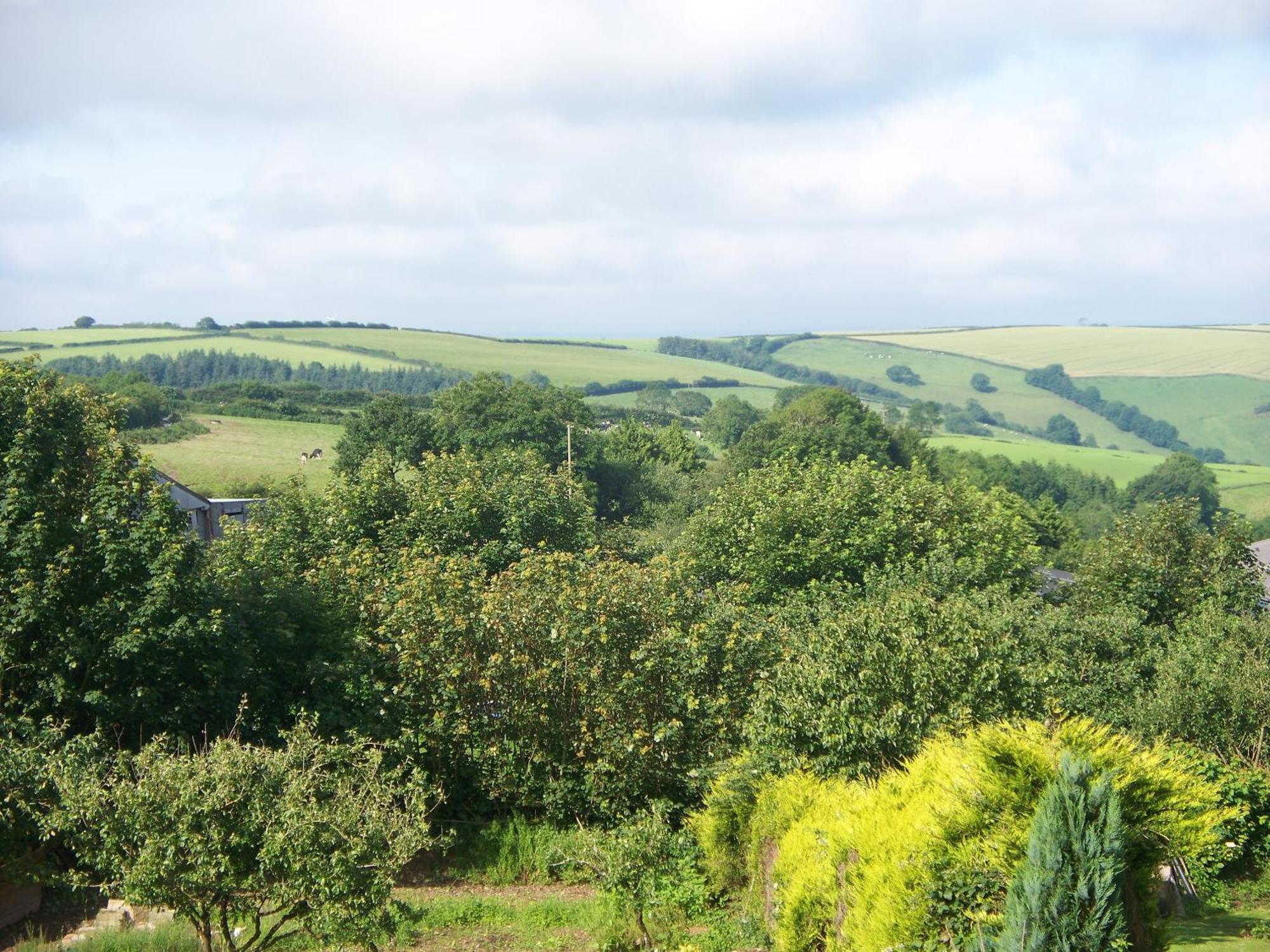 Stoke Rivers Stoke House Bed And Breakfast المظهر الخارجي الصورة